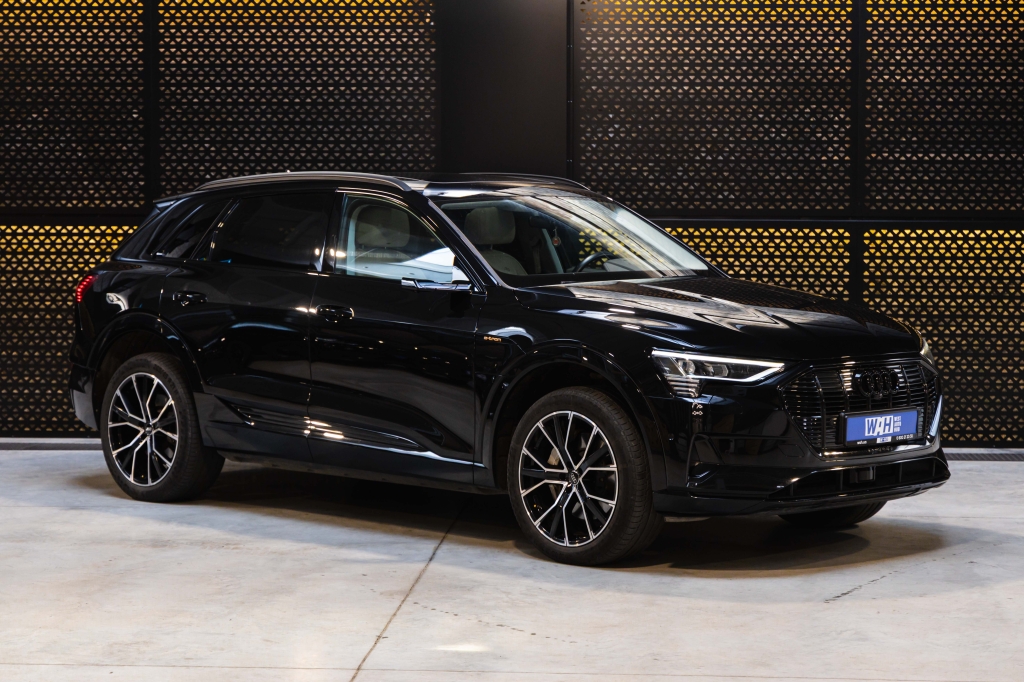 Audi e-tron 55 quattro 2019 фото Audi e-tron 55 quattro 2019 фото 4