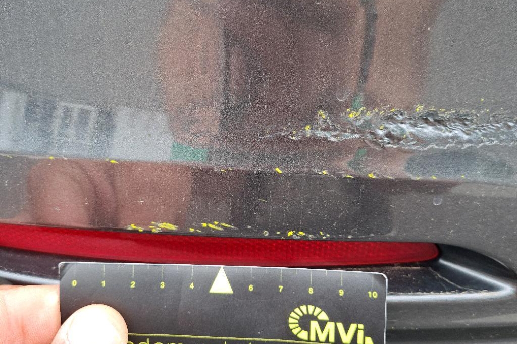 BMW 3er 2016 photo 10