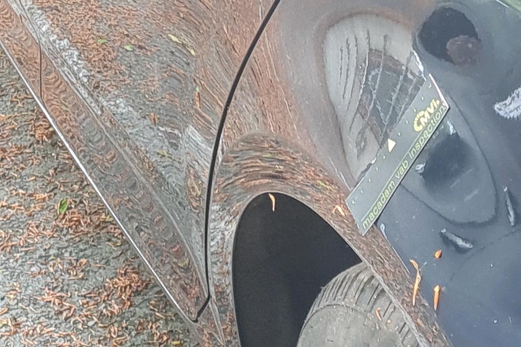 Audi A4 Avant 2017 фото 21