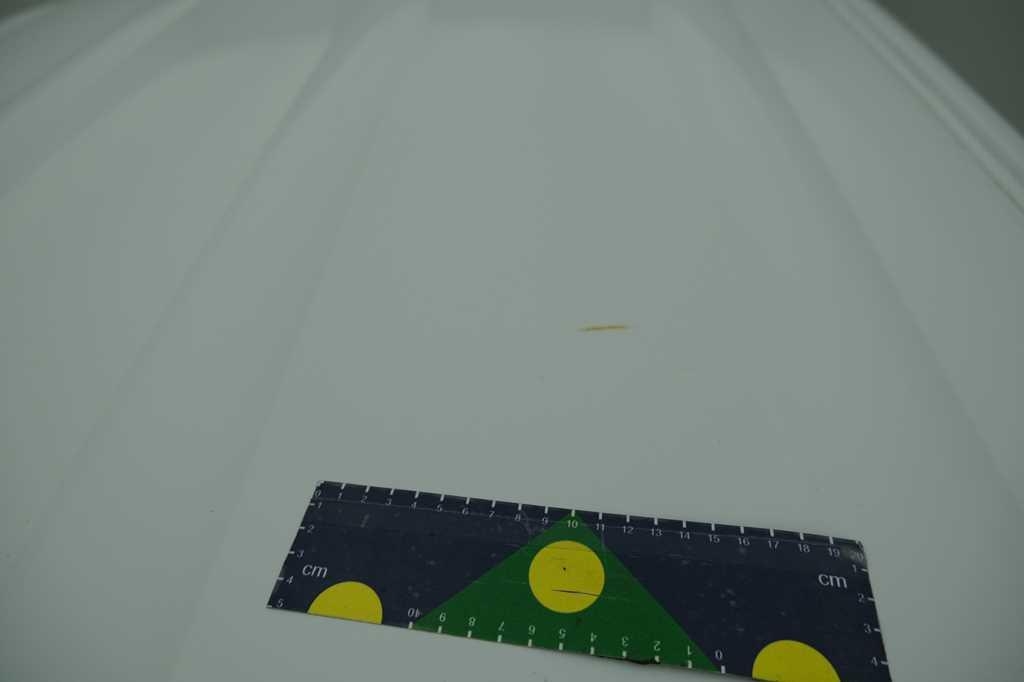 Renault Kangoo 2015 фото 23