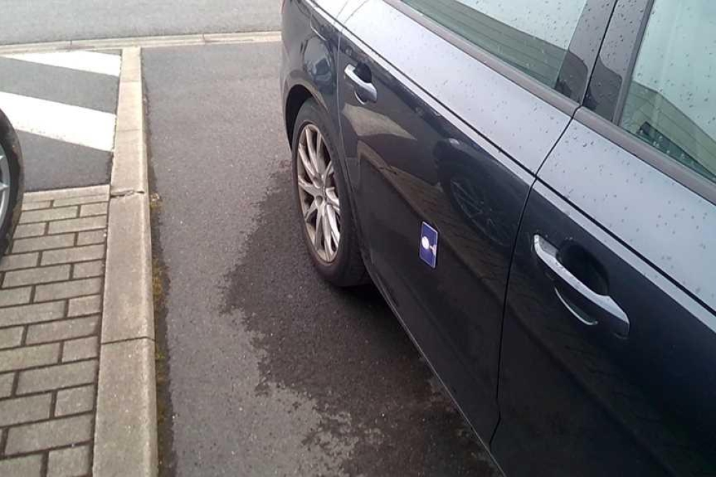 Audi A4 Avant 2016 фото 8