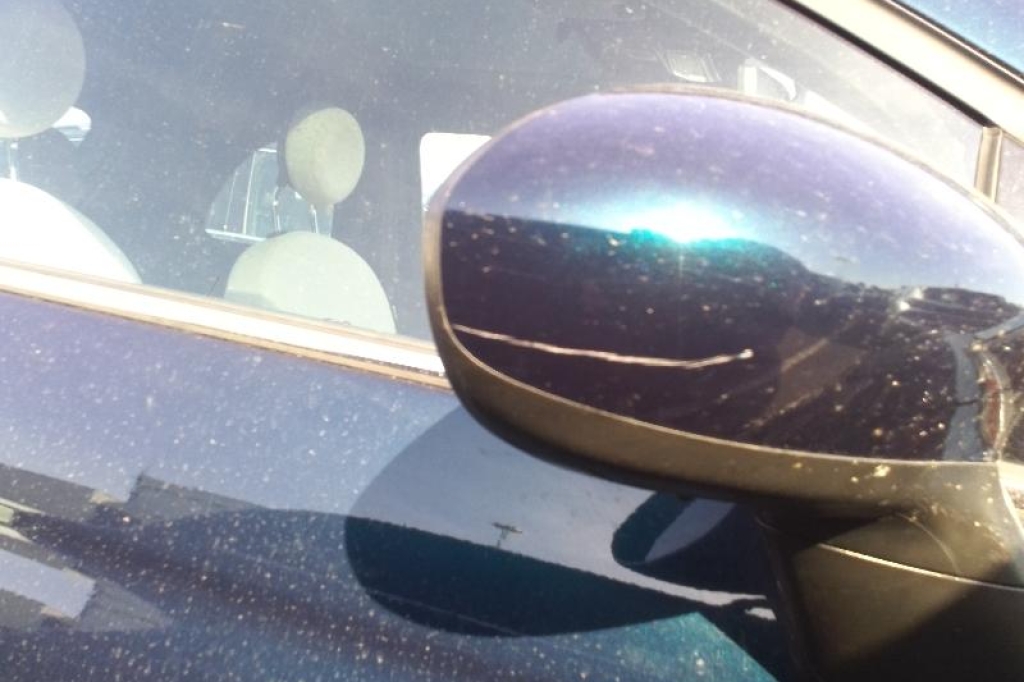 Fiat 500 2020 photo 17