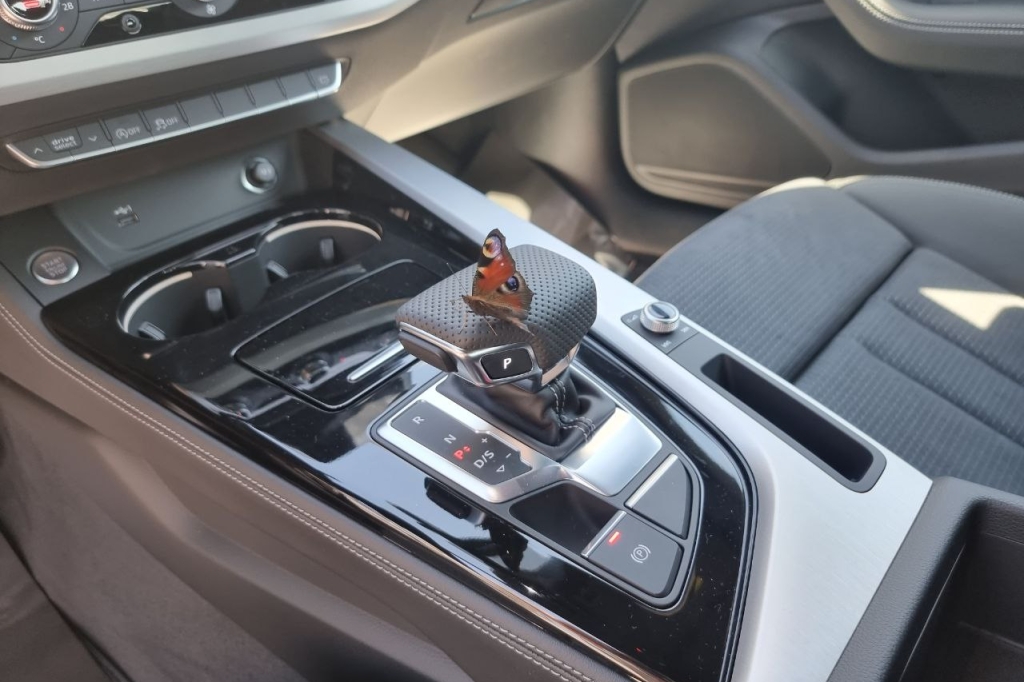 Audi A5 Sportback 2022 фото 14