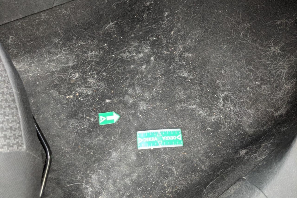 Peugeot 308 2018 photo 13