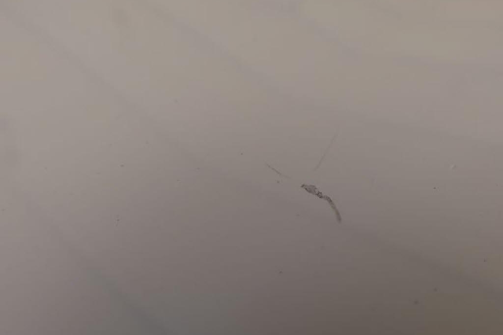 Opel Corsa 2019 фото 10