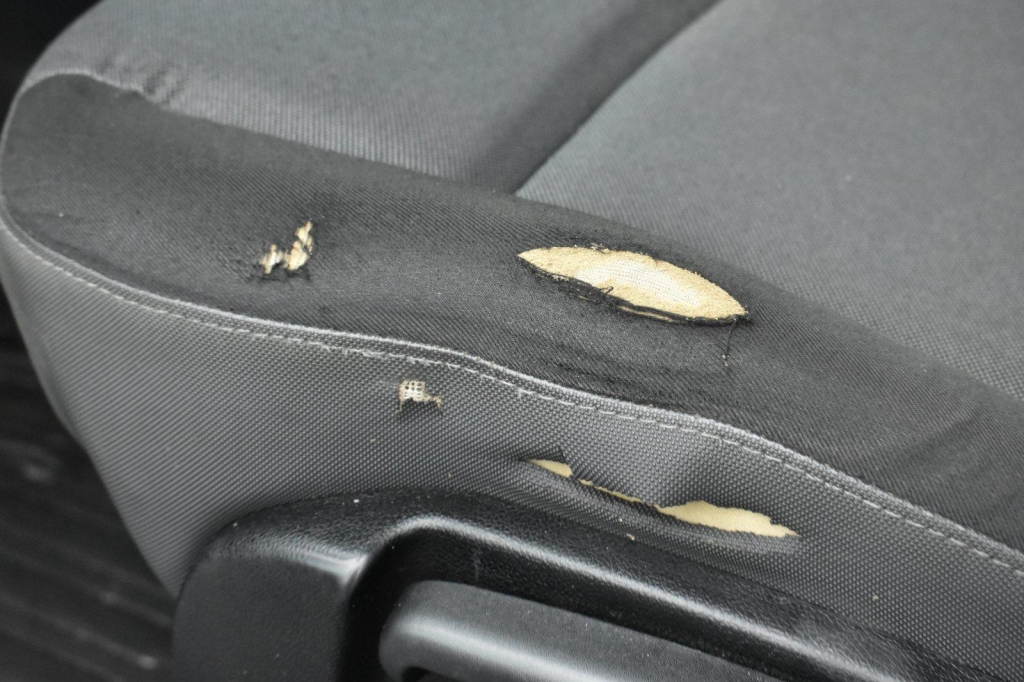 Renault Master Pritsche 2017 photo 29