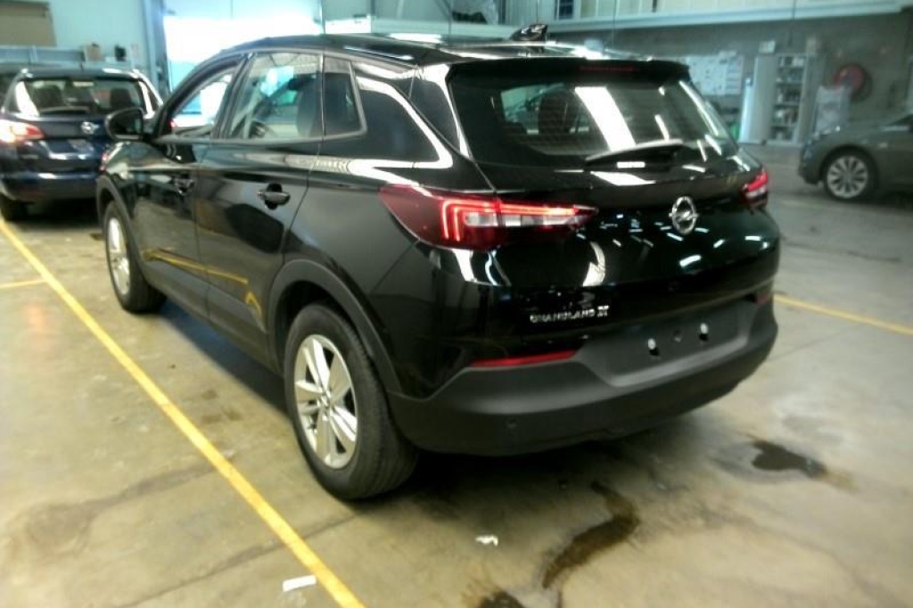 Opel Grandland X 2020 photo 4