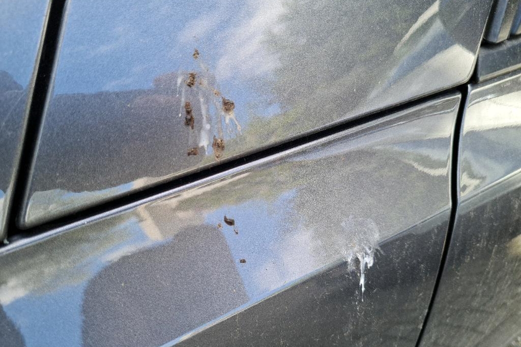 Peugeot 308SW 2016 photo 23