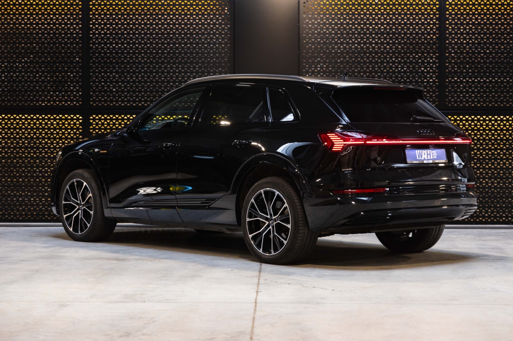 Audi e-tron 55 quattro 2019 фото Audi e-tron 55 quattro 2019 фото 10