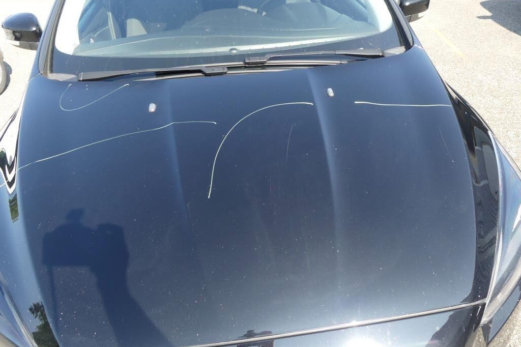 Ford Focus Turnier 2016 фото 20