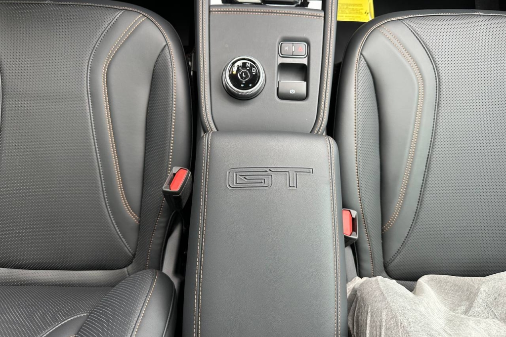 Ford Mustang Mach-E GT 2022 фото 23