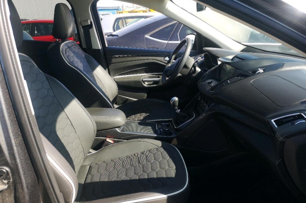 Ford Kuga 2019 фото 1