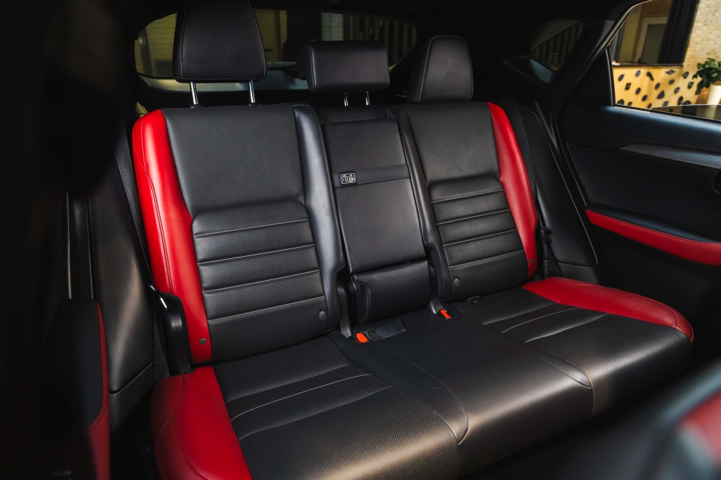 Lexus NX 300 F Sport 2018 photo 36