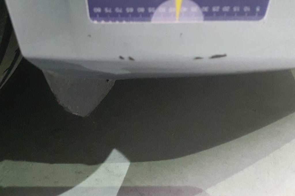 Audi A4 Avant 2015 фото 30