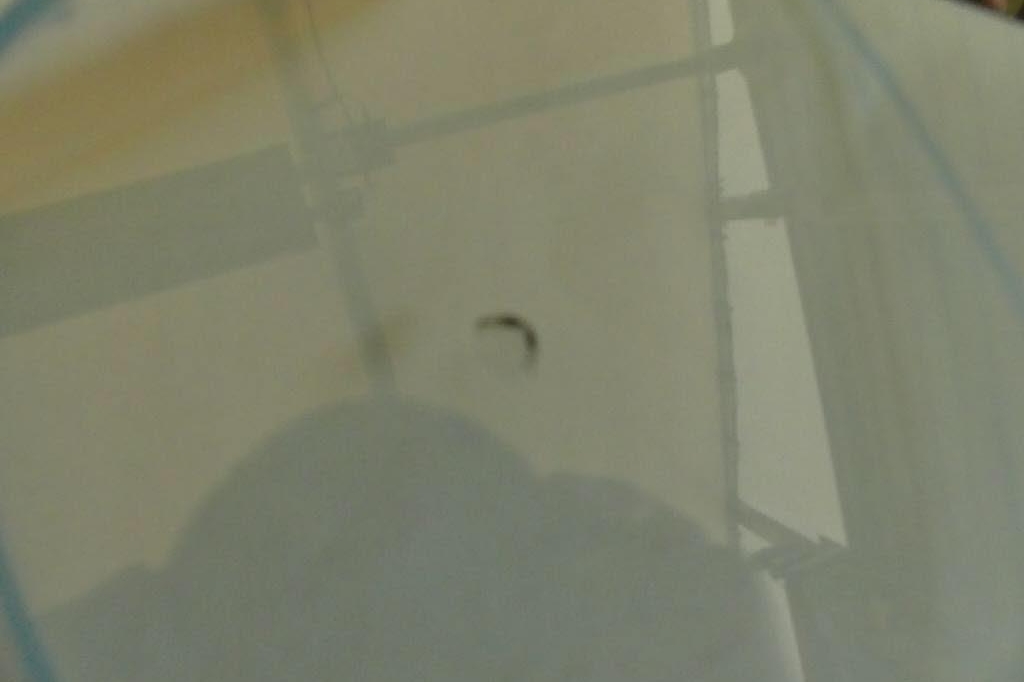 SEAT Leon 2017 фото 11