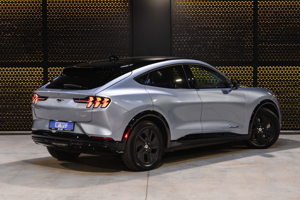 Ford Mustang Mach-E 2022 photo 9