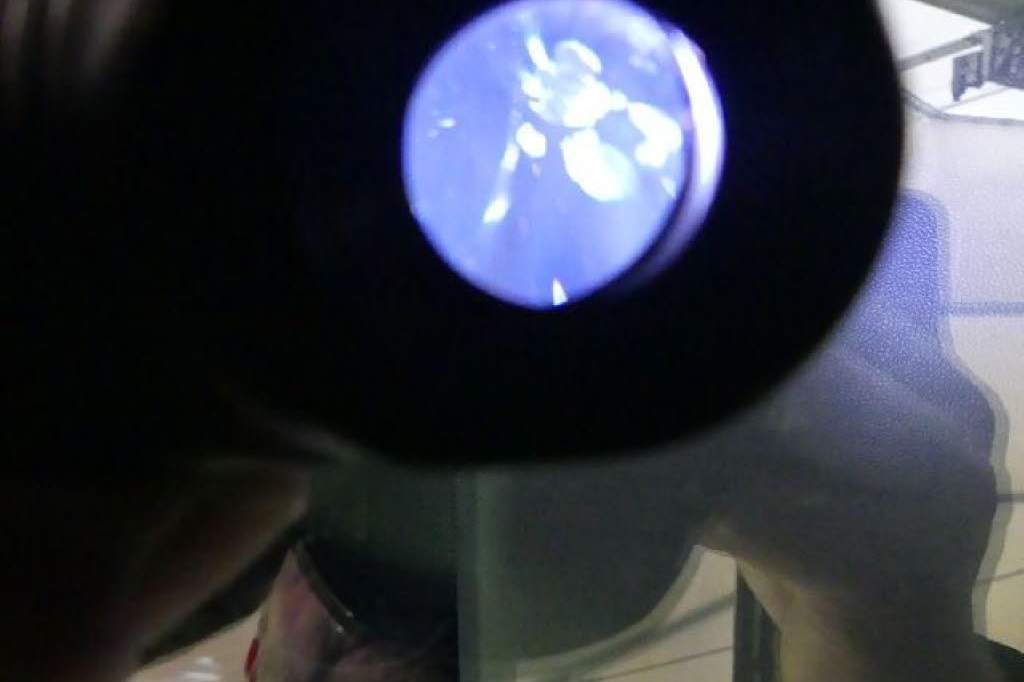 Ford Focus Turnier 2018 фото 17