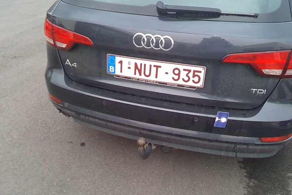 Audi A4 Avant 2016 фото 19