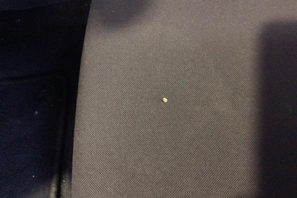 Ford Focus Tunier 2018 фото 10