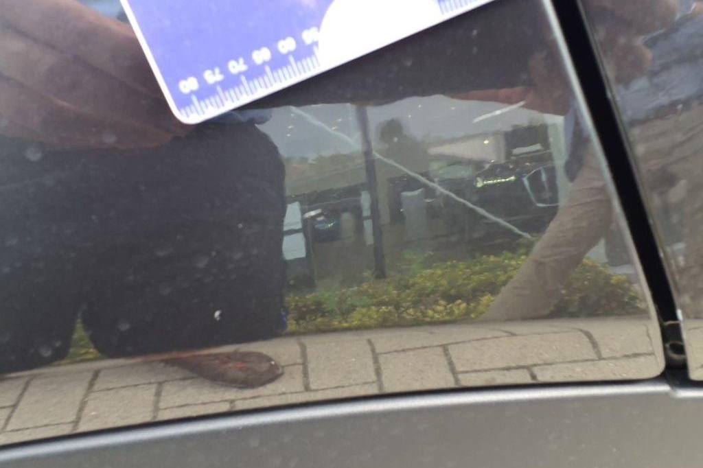 BMW X4 2016 photo 20