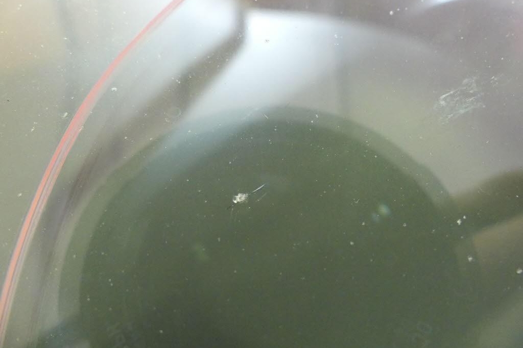 Ford Mondeo Turnier 2017 photo 11