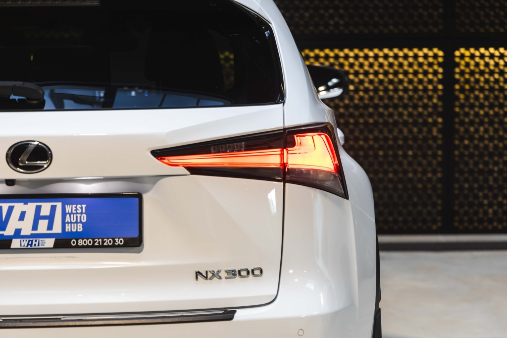 Lexus NX 300 F Sport 2018 photo 9