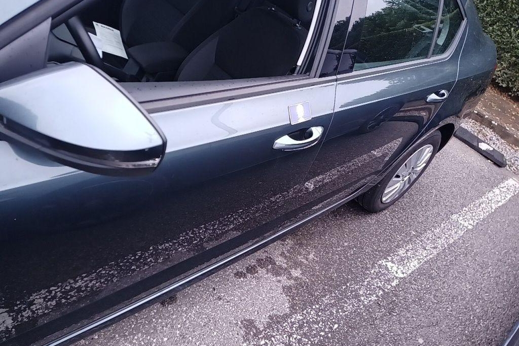 Skoda Octavia 2017 фото 14