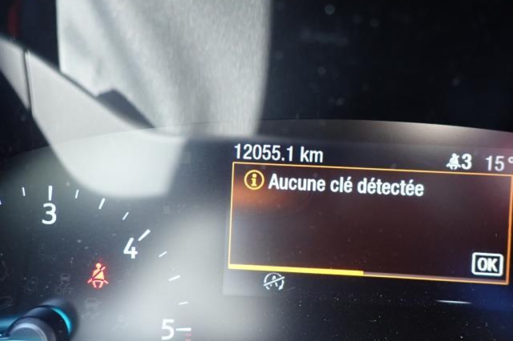 Ford Focus 2019 photo 2