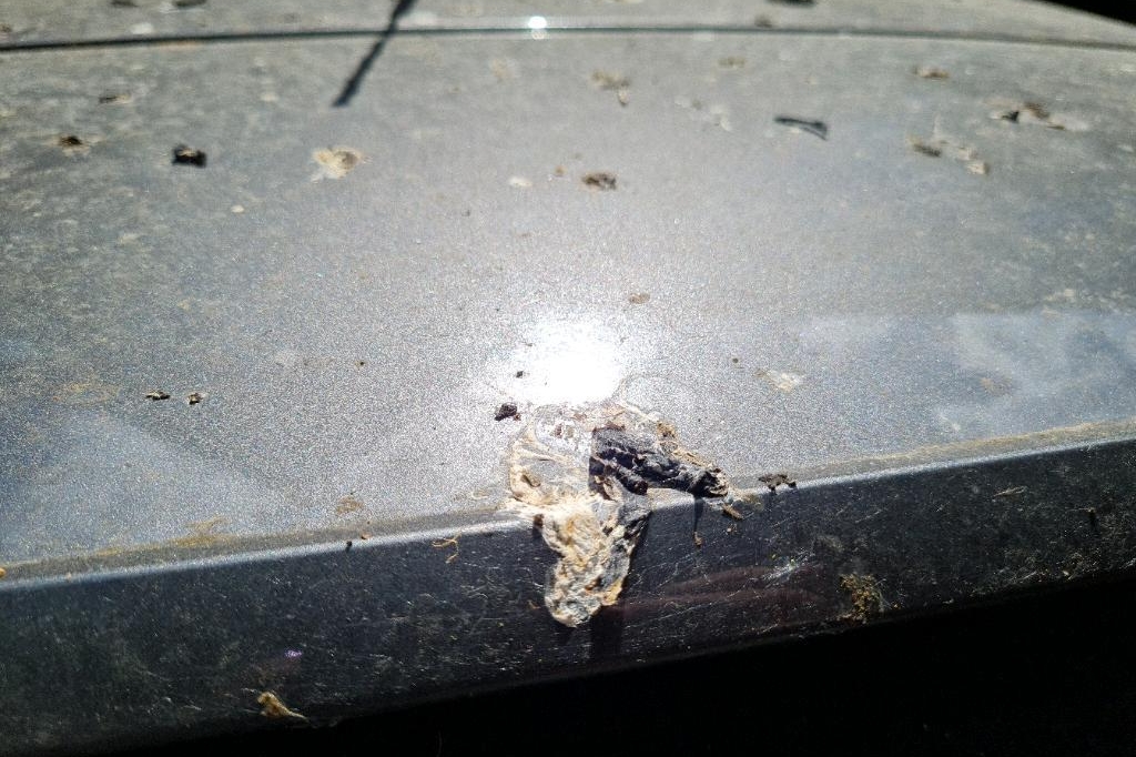 Peugeot 308SW 2016 photo 12