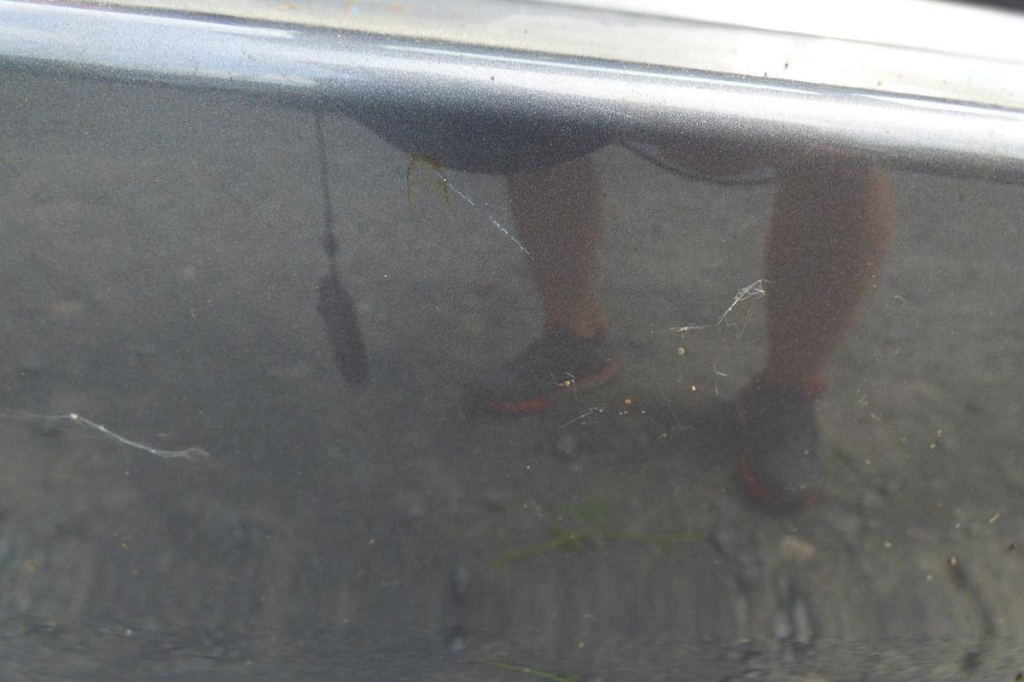 Opel Insignia Sports Tourer 2017 фото 23