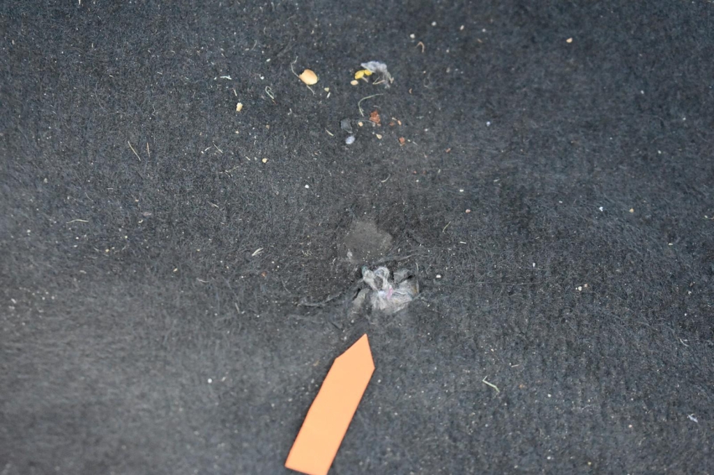 Hyundai i20 2020 фото 18