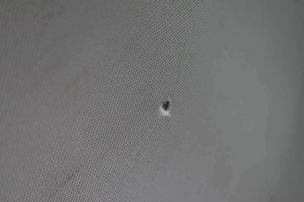 Ford Mondeo Tunier 2016 фото 39