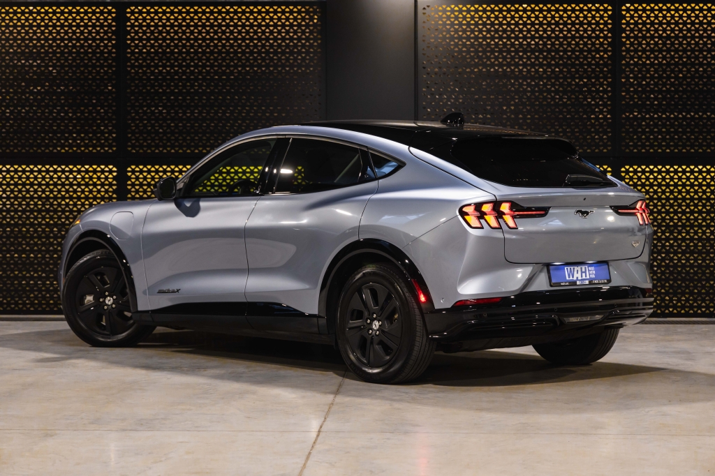 Ford Mustang Mach-E 2022 photo 15