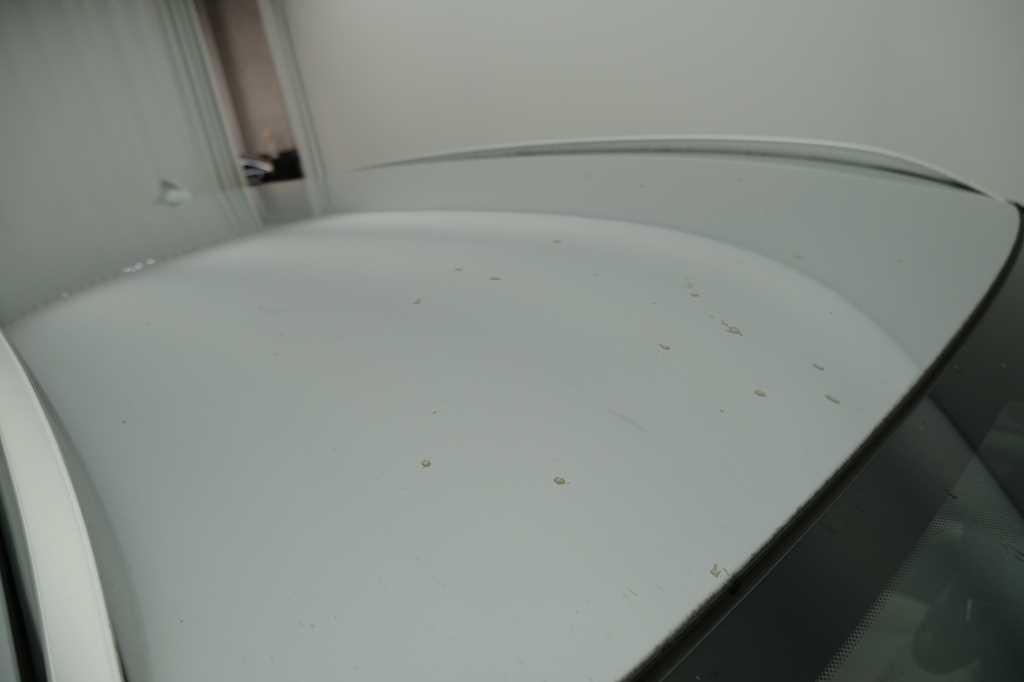 BMW X3 2017 фото 52