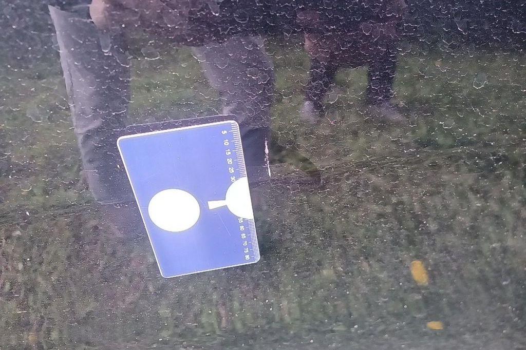 Kia Niro 2017 фото 13