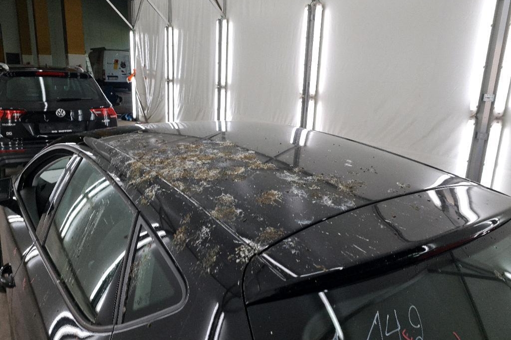 SEAT Leon 2018 фото 37