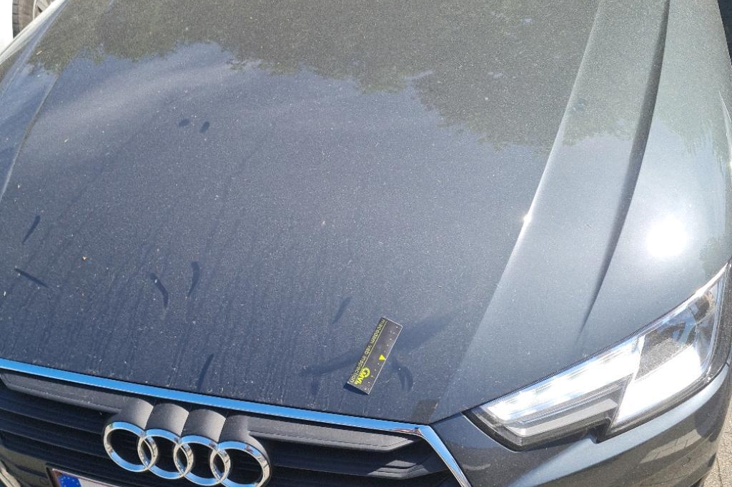 Audi A4 Avant 2017 фото 10