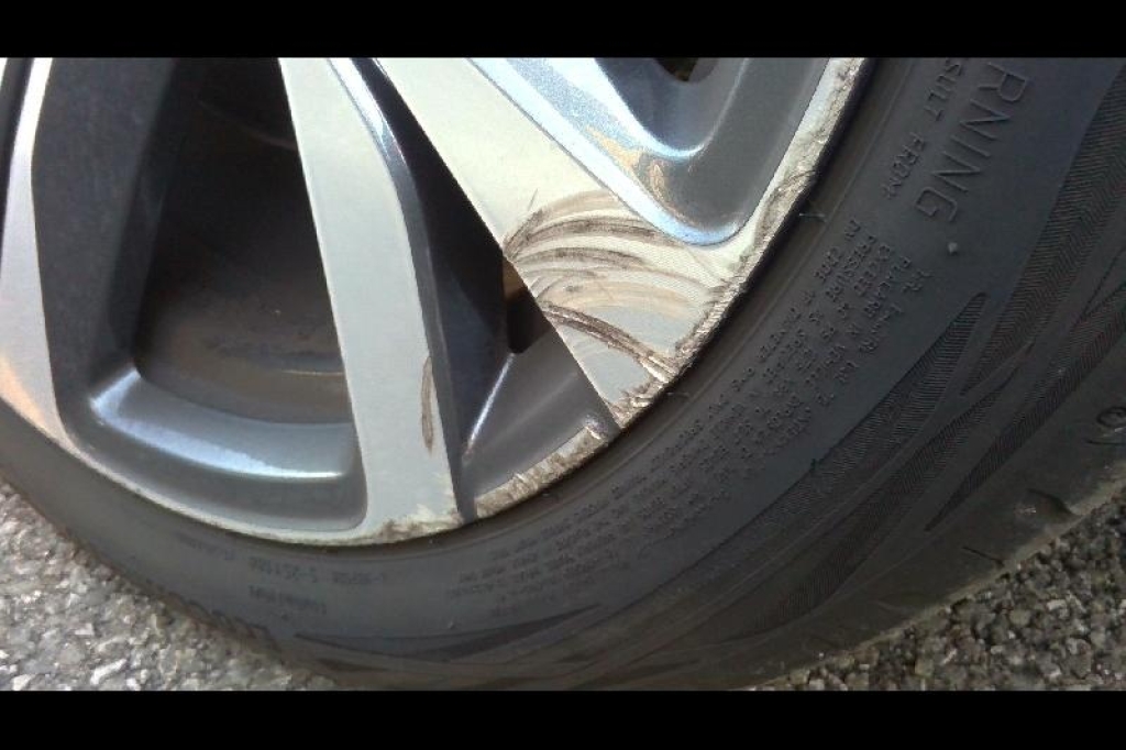 Renault Clio 2019 фото 17