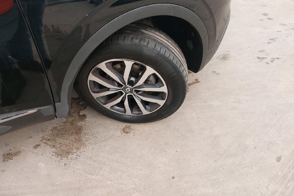 Renault Kadjar 2018 фото 21