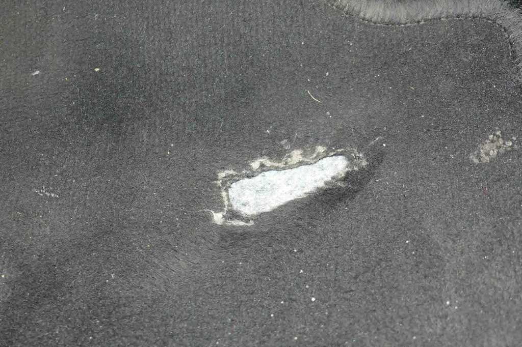 Ford Focus Turnier 2018 фото 20