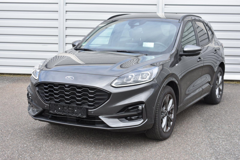 Ford Kuga 2020 photo 2
