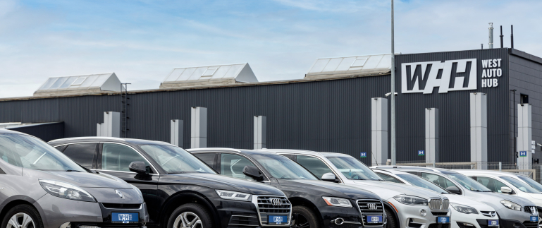 Що найчастіше купували клієнти WAH за період нульового розмитнення