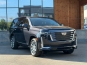 Cadillac Escalade PLATINUM 4WD 2022 фото Cadillac Escalade PLATINUM 4WD 2022 фото