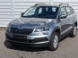 Skoda Karoq 2021 фото