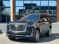 Cadillac Escalade Platinum 4WD 2022 фото Cadillac Escalade Platinum 4WD 2022 фото 2