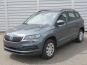 Skoda Karoq 2020 photo