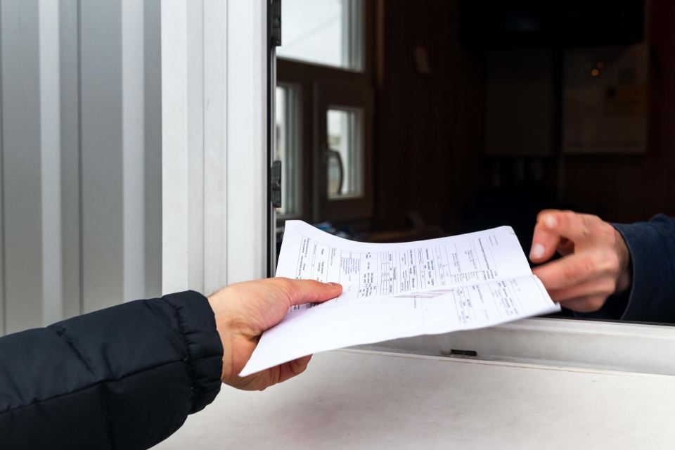 Розмитнення авто в Україні фото 1